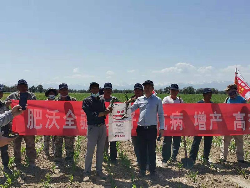 實驗基地